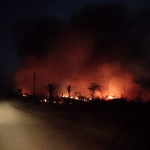 Presença de grandes extensões de queimadas na estrada de deslocamento dos pesquisadores para o município de Jacareacanga, 2019