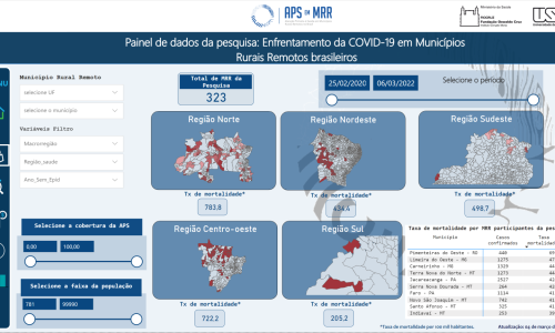 Painel de dados da pesquisa: Enfrentamento da COVID-19 em municípios Rurais Remotos brasileiros
