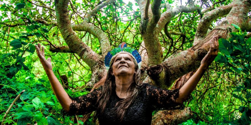 Frutos de pesquisa-ação focam no fortalecimento da saúde indígena no sertão cearense