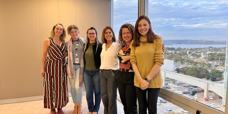 Grupo APS em MRR realiza agenda estratégica com áreas técnicas da SAPS/MS