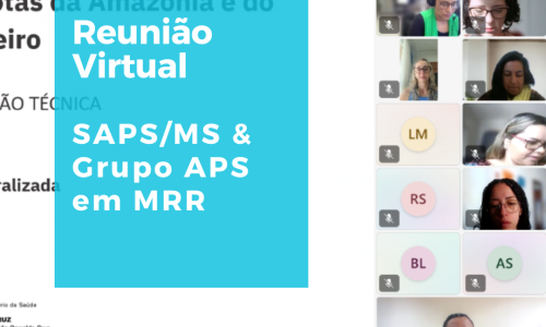 Ministério da Saúde e Grupo de Pesquisa discutem aprimoramento da APS em contextos rurais e remotos